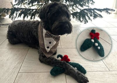 Schroeders Hunderassel aus Schwammwolle