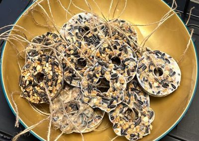 selbstgemachte Vogelfutterkränze